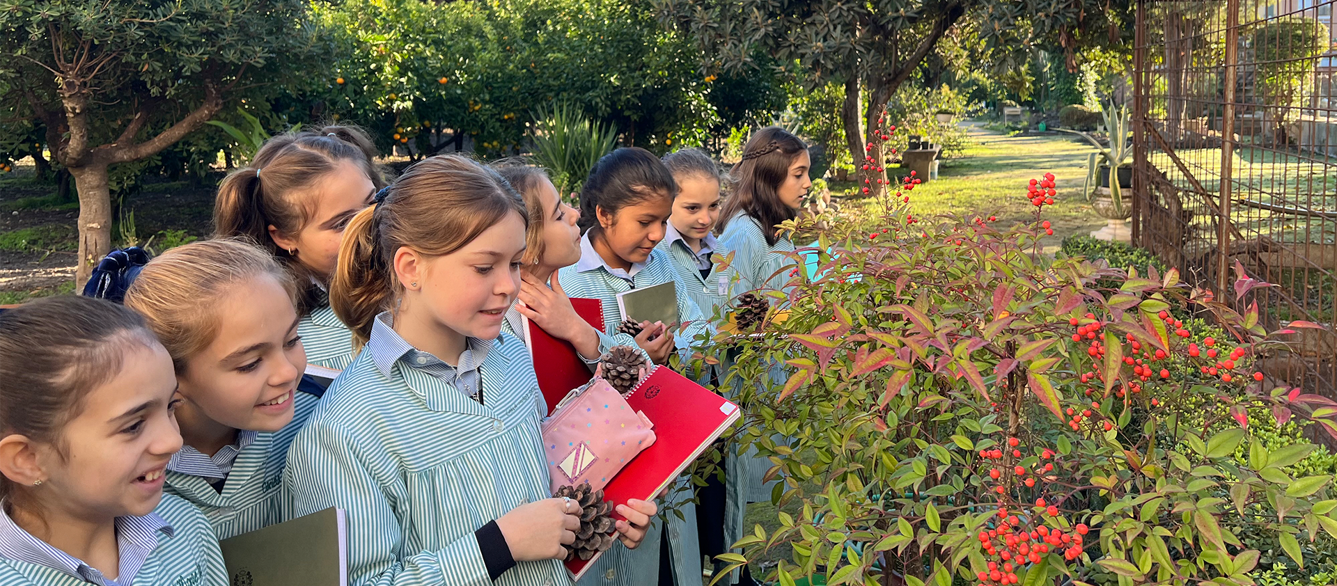 Excelencia Académica