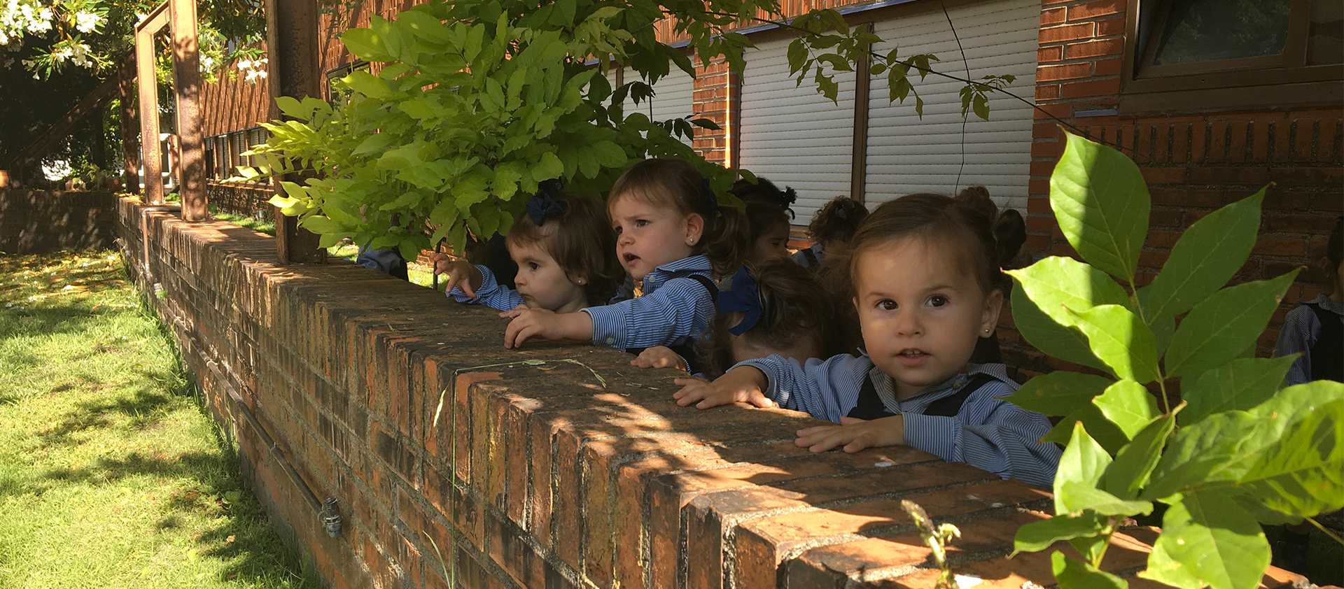 Excelencia Académica