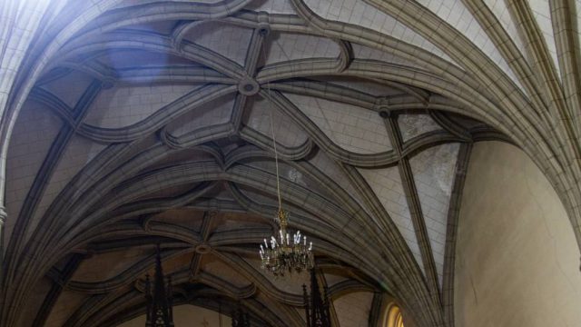 Detalle de las nervaduras