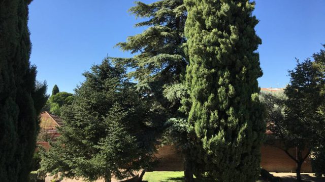 Vista de la rotonda de entrada a Infantil