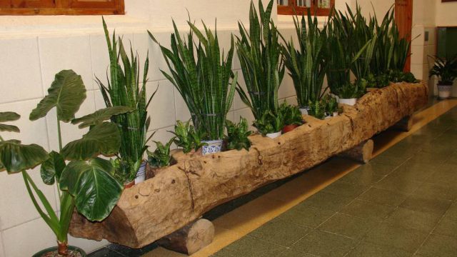 Vista de la Galería de entrada al Colegio
