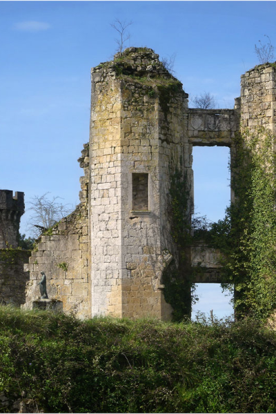 Restos del castillo de Landirás. FOTO: https://ducoteduteich.com