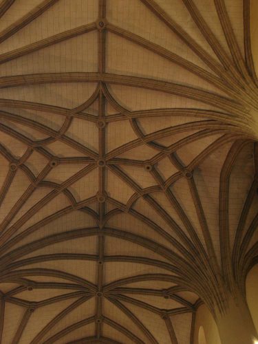 Detalle de las nervaduras