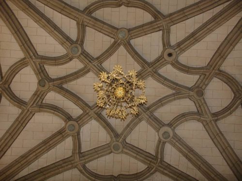 Detalle de las nervaduras